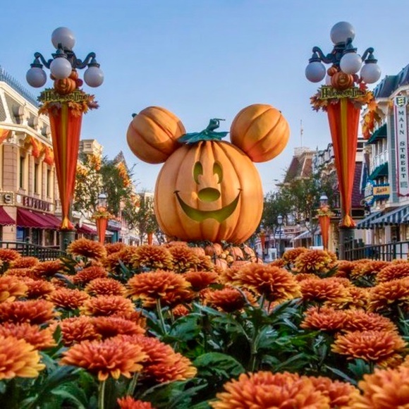 Meet your Posher - Picture 3 of 5